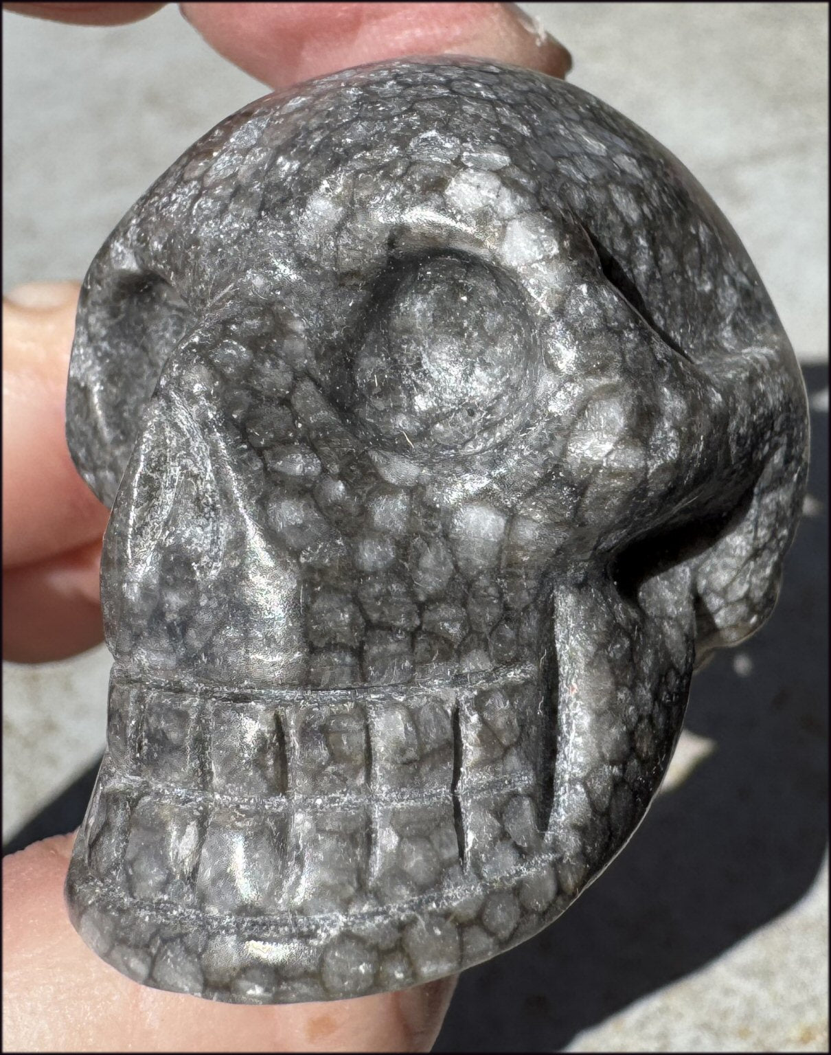 Fossilized Coral CRYSTAL SKULL - Dissipate negativity, Stimulate 3rd Eye