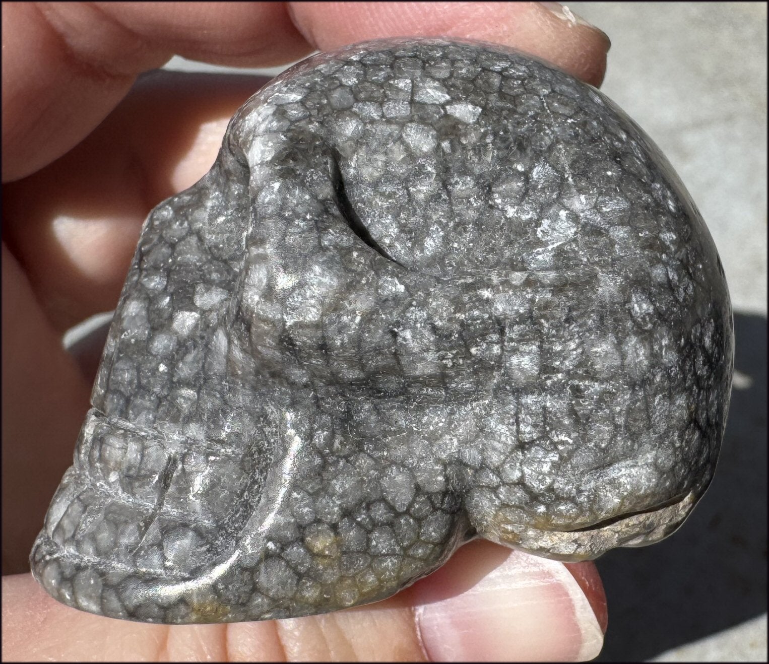 Fossilized Coral CRYSTAL SKULL - Dissipate negativity, Stimulate 3rd Eye
