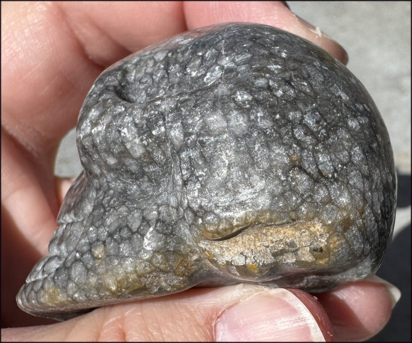 Fossilized Coral CRYSTAL SKULL - Dissipate negativity, Stimulate 3rd Eye