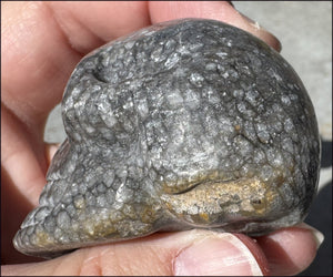 Fossilized Coral CRYSTAL SKULL - Dissipate negativity, Stimulate 3rd Eye