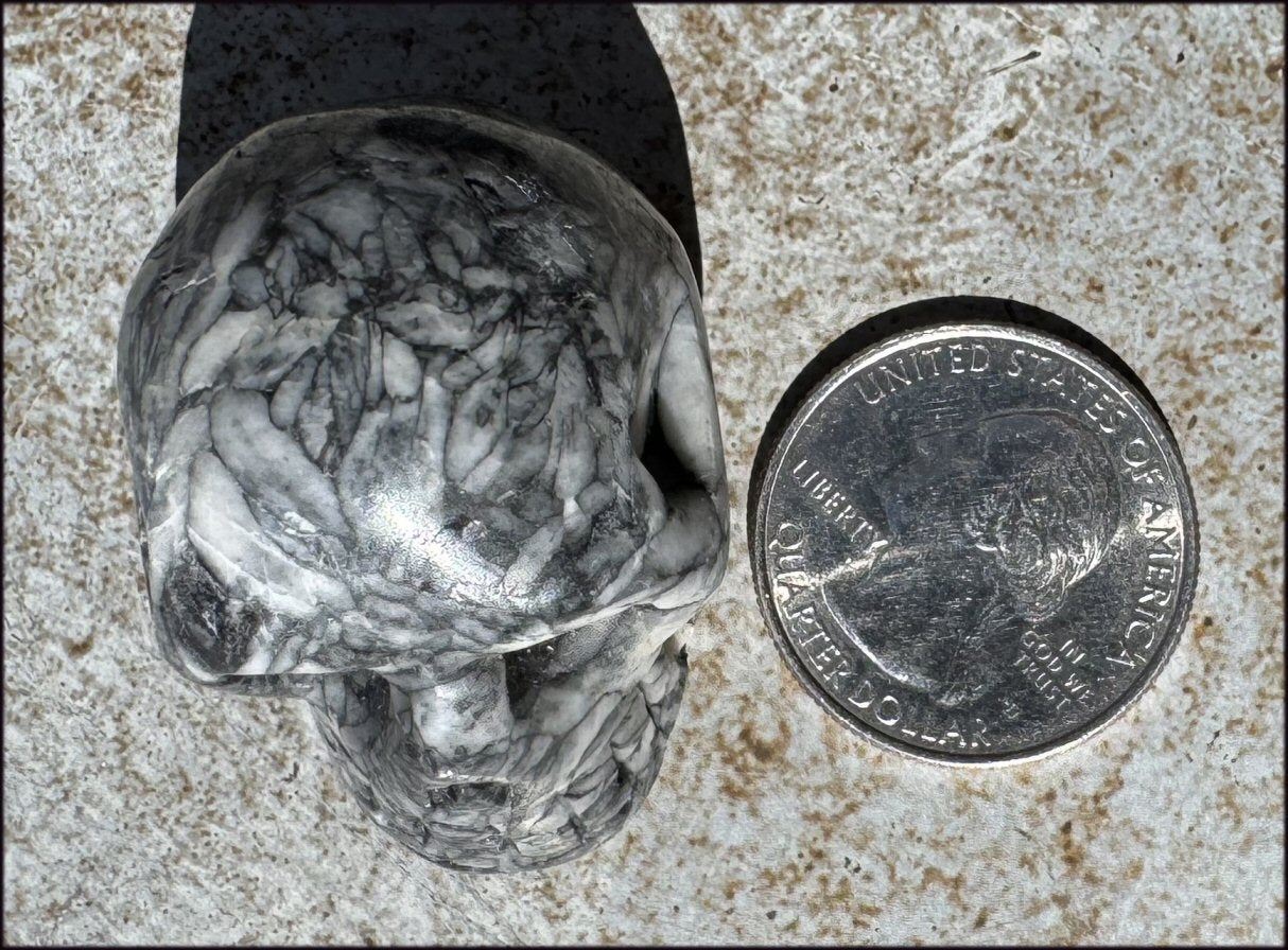Pinolith Crystal Skull - AKA Pinolite - Calming, Support creativity