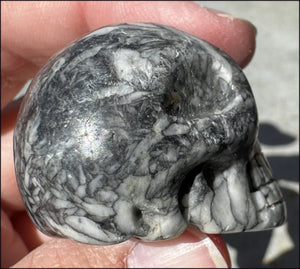 Pinolith Crystal Skull - AKA Pinolite - Calming, Support creativity