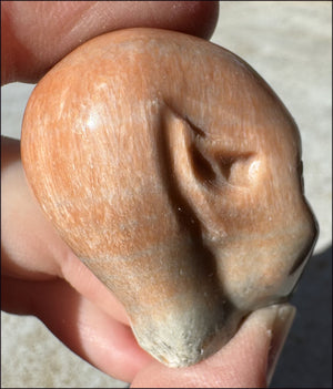 Orange Feldspar SIDHE / FAE / FAIRY Crystal Skull - 2nd Chakra, Balance