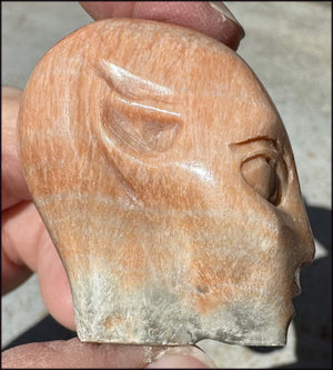 Orange Feldspar SIDHE / FAE / FAIRY Crystal Skull - 2nd Chakra, Balance