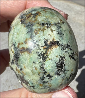 Turquoise CRYSTAL SKULL - Enhance Mind+Heart Connection