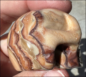 RED Picture Rock Jasper CRYSTAL SKULL - Stimulate positive energy flow