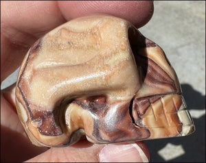 RED Picture Rock Jasper CRYSTAL SKULL - Stimulate positive energy flow