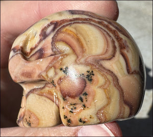 RED Picture Rock Jasper CRYSTAL SKULL - Stimulate positive energy flow