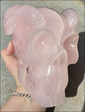 LifeSize Pink Manganoan Calcite RAM Crystal Skull - Highly fluorescent! An excellent addition to a healing practice! - 12lbs+