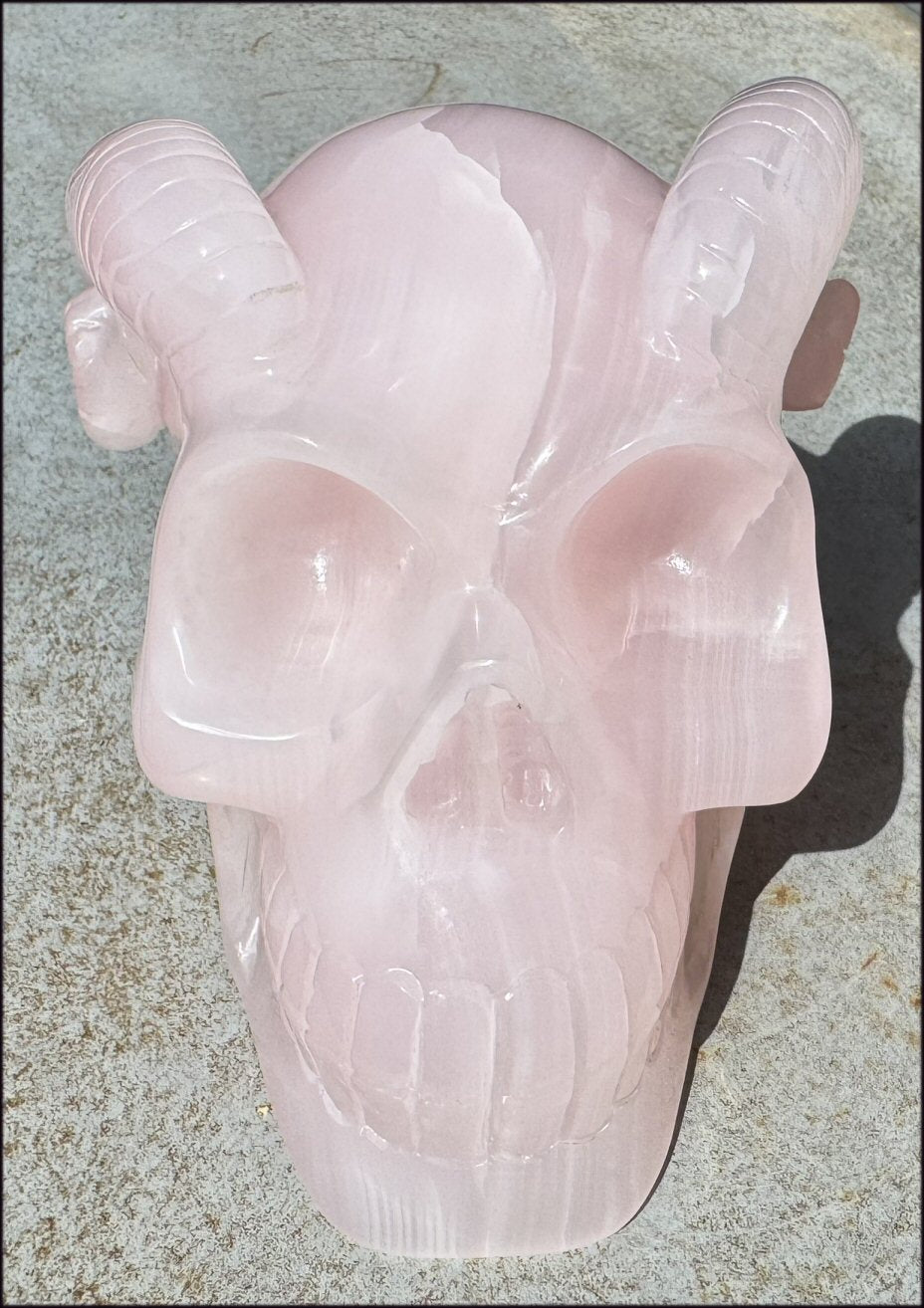 LifeSize Pink Manganoan Calcite RAM Crystal Skull - Highly fluorescent! An excellent addition to a healing practice! - 12lbs+