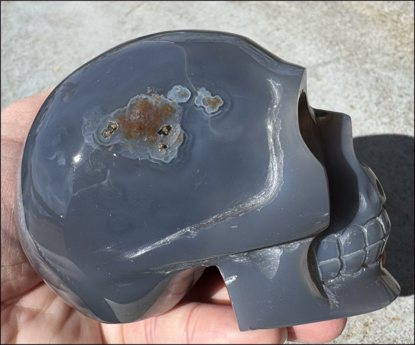 2XL Agate GEODE Crystal Skull with Fantastic large Druzy Lined VUG!
