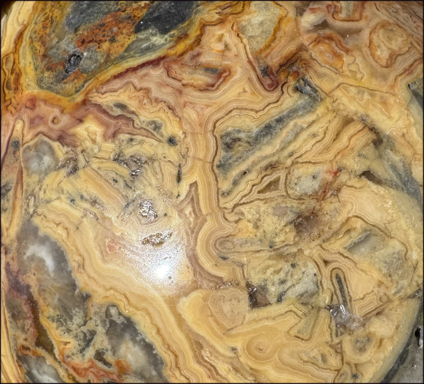 LifeSize CRAZY LACE AGATE Crystal Skull - Laughter, Divination - 10lbs+