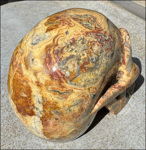 LifeSize CRAZY LACE AGATE Crystal Skull - Laughter, Divination - 10lbs+