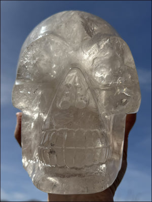 LifeSize SMOKY HImalayan Quartz Crystal Skull with Hematite, Chlorite, Rainbows - 13lbs+