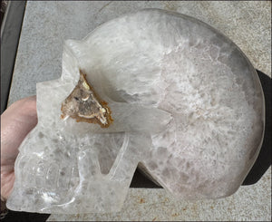 ~Super Sale~ LifeSize Agate GEODE Crystal Skull with AMAZING Huge Central VUG