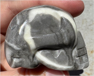 ~Gorgeous!~ Sea Shell Jasper CRYSTAL SKULL - Actualization, Energetic Cleansing