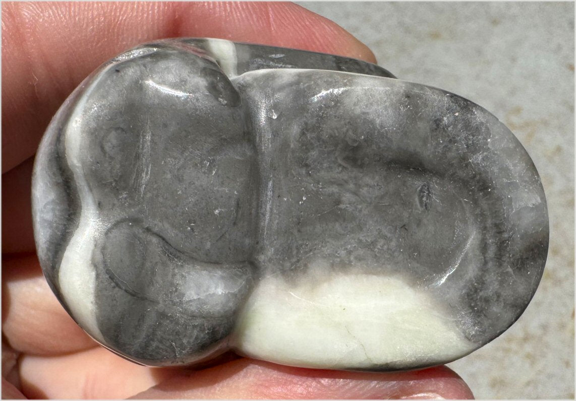 ~Gorgeous!~ Sea Shell Jasper CRYSTAL SKULL - Actualization, Energetic Cleansing