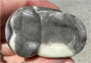 ~Gorgeous!~ Sea Shell Jasper CRYSTAL SKULL - Actualization, Energetic Cleansing
