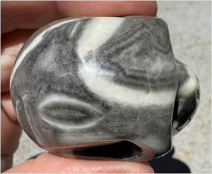 ~Gorgeous!~ Sea Shell Jasper CRYSTAL SKULL - Actualization, Energetic Cleansing
