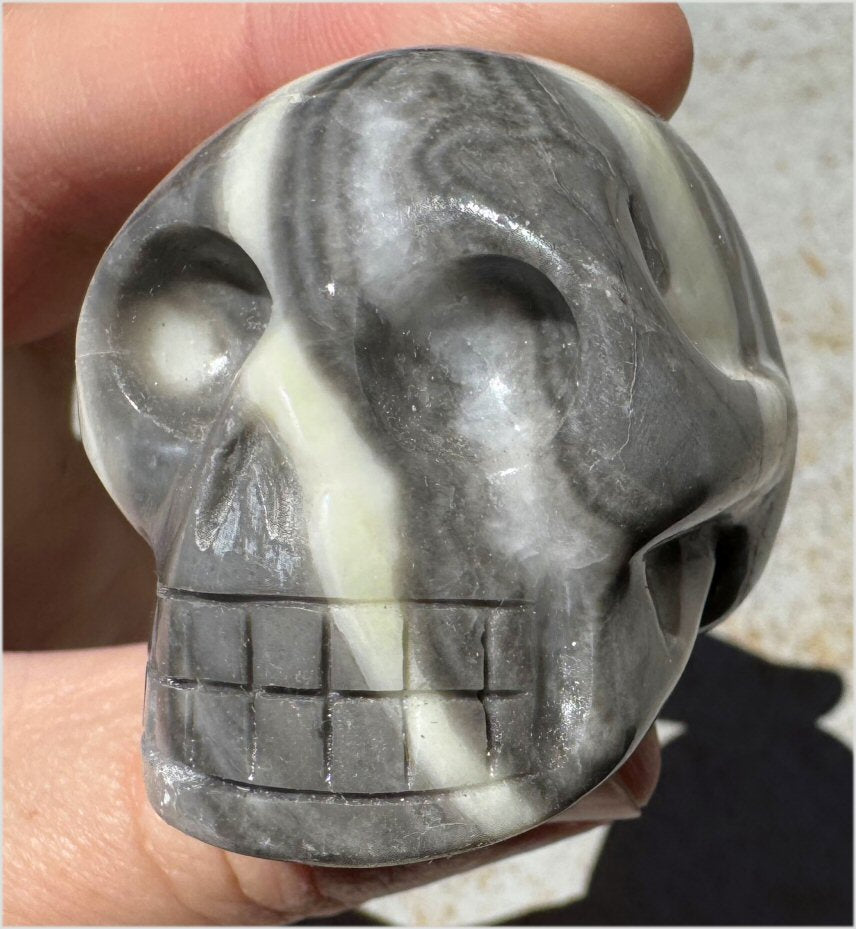~Gorgeous!~ Sea Shell Jasper CRYSTAL SKULL - Actualization, Energetic Cleansing
