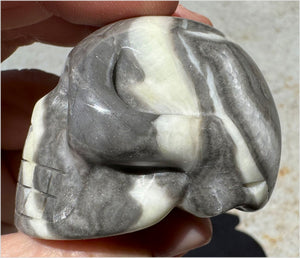 ~Gorgeous!~ Sea Shell Jasper CRYSTAL SKULL - Actualization, Energetic Cleansing