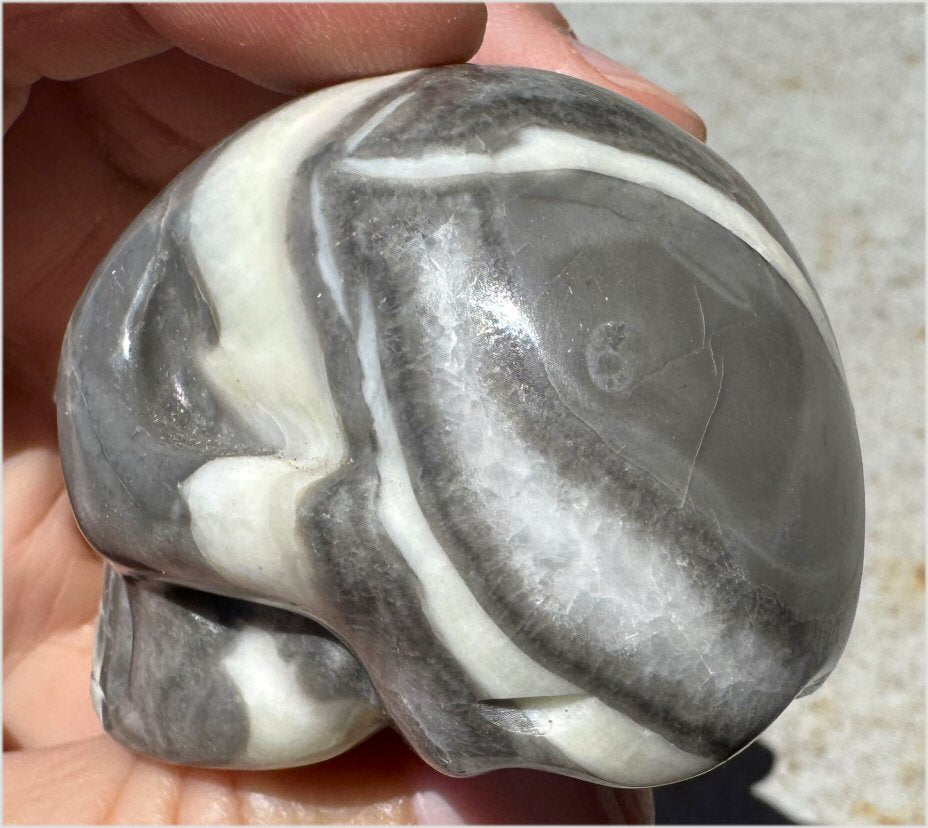 ~Gorgeous!~ Sea Shell Jasper CRYSTAL SKULL - Actualization, Energetic Cleansing