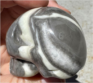 ~Gorgeous!~ Sea Shell Jasper CRYSTAL SKULL - Actualization, Energetic Cleansing