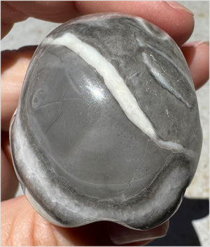 ~Gorgeous!~ Sea Shell Jasper CRYSTAL SKULL - Actualization, Energetic Cleansing