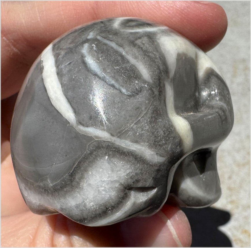 ~Gorgeous!~ Sea Shell Jasper CRYSTAL SKULL - Actualization, Energetic Cleansing