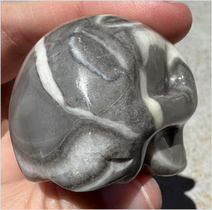 ~Gorgeous!~ Sea Shell Jasper CRYSTAL SKULL - Actualization, Energetic Cleansing