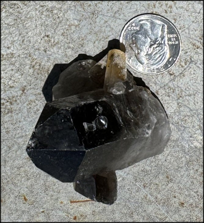 Smoky Quartz Crystal Cluster with Hematite Root Chakra