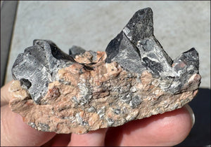 DARK Natural Smoky Quartz Crystal Cluster with Feldspar - Highly protective!