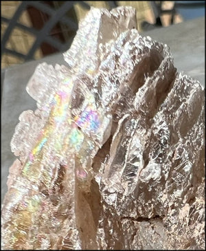 ~Unusual!~ St. David Selenite Crystal Specimen from St. David, AZ