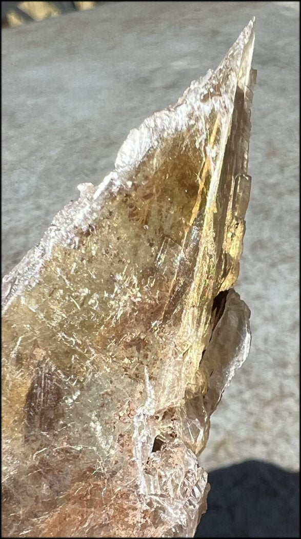 ~Unusual!~ St. David Selenite Crystal Specimen from St. David, AZ
