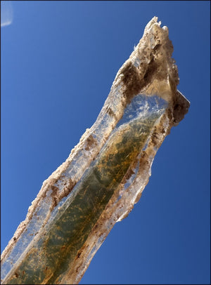 ~Unusual!~ 7.75" St. David Selenite Crystal Specimen from St. David, AZ