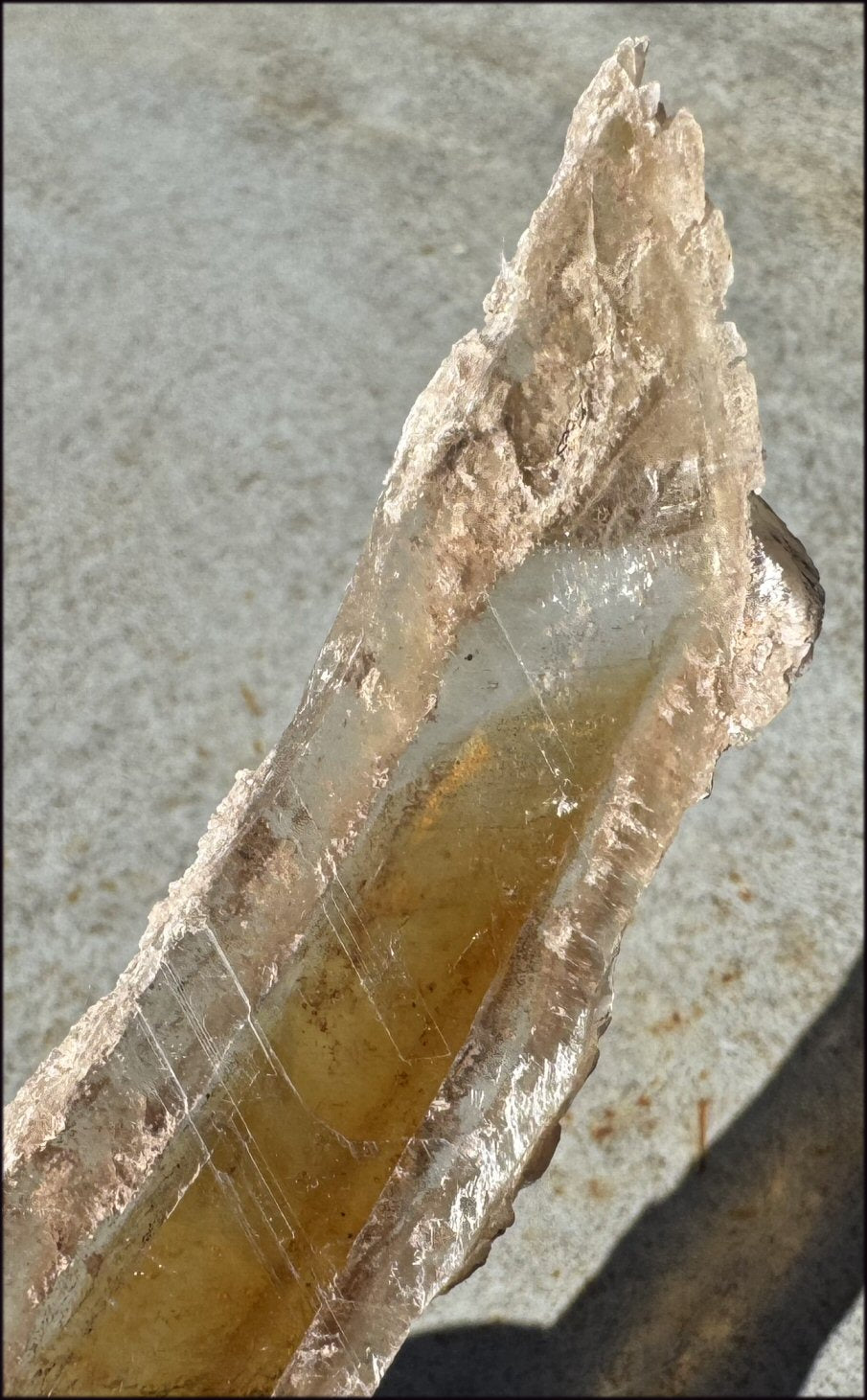 ~Unusual!~ 7.75" St. David Selenite Crystal Specimen from St. David, AZ