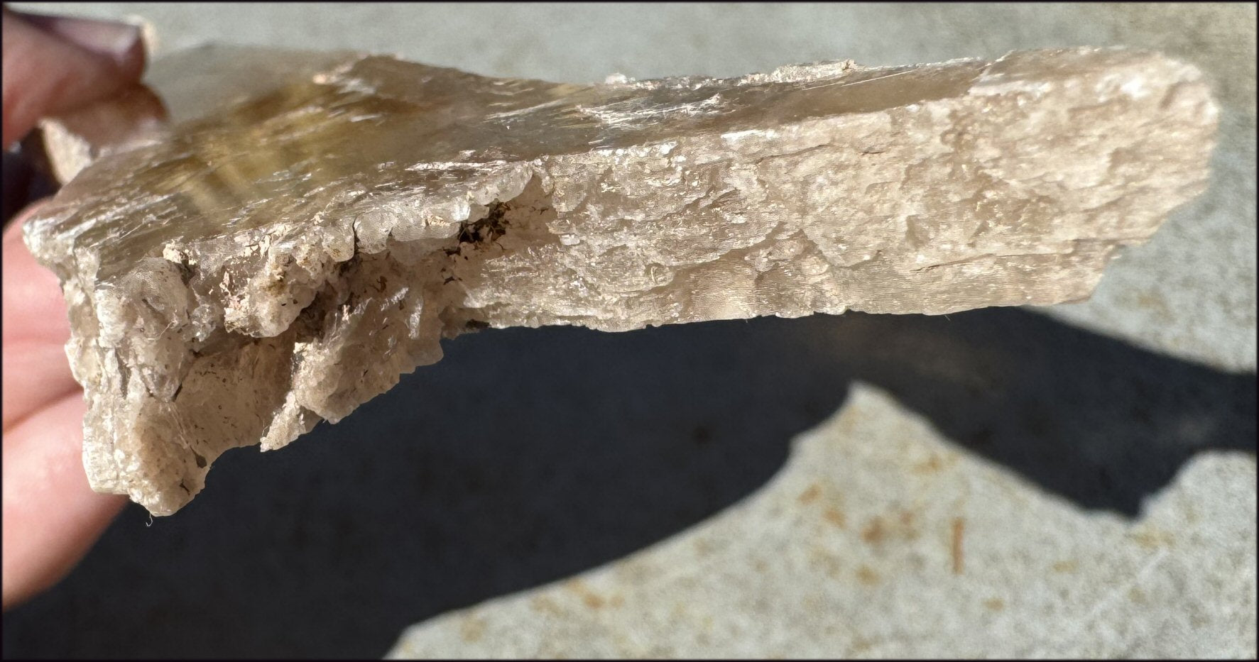 ~Unusual!~ 7.75" St. David Selenite Crystal Specimen from St. David, AZ