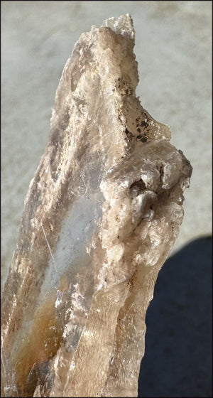 ~Unusual!~ 7.75" St. David Selenite Crystal Specimen from St. David, AZ