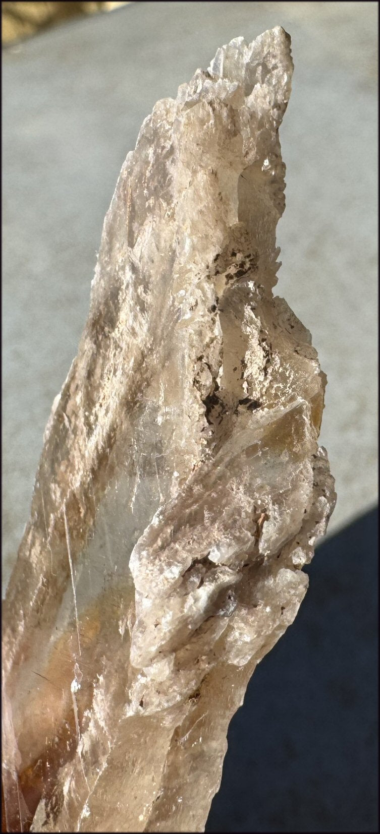 ~Unusual!~ 7.75" St. David Selenite Crystal Specimen from St. David, AZ