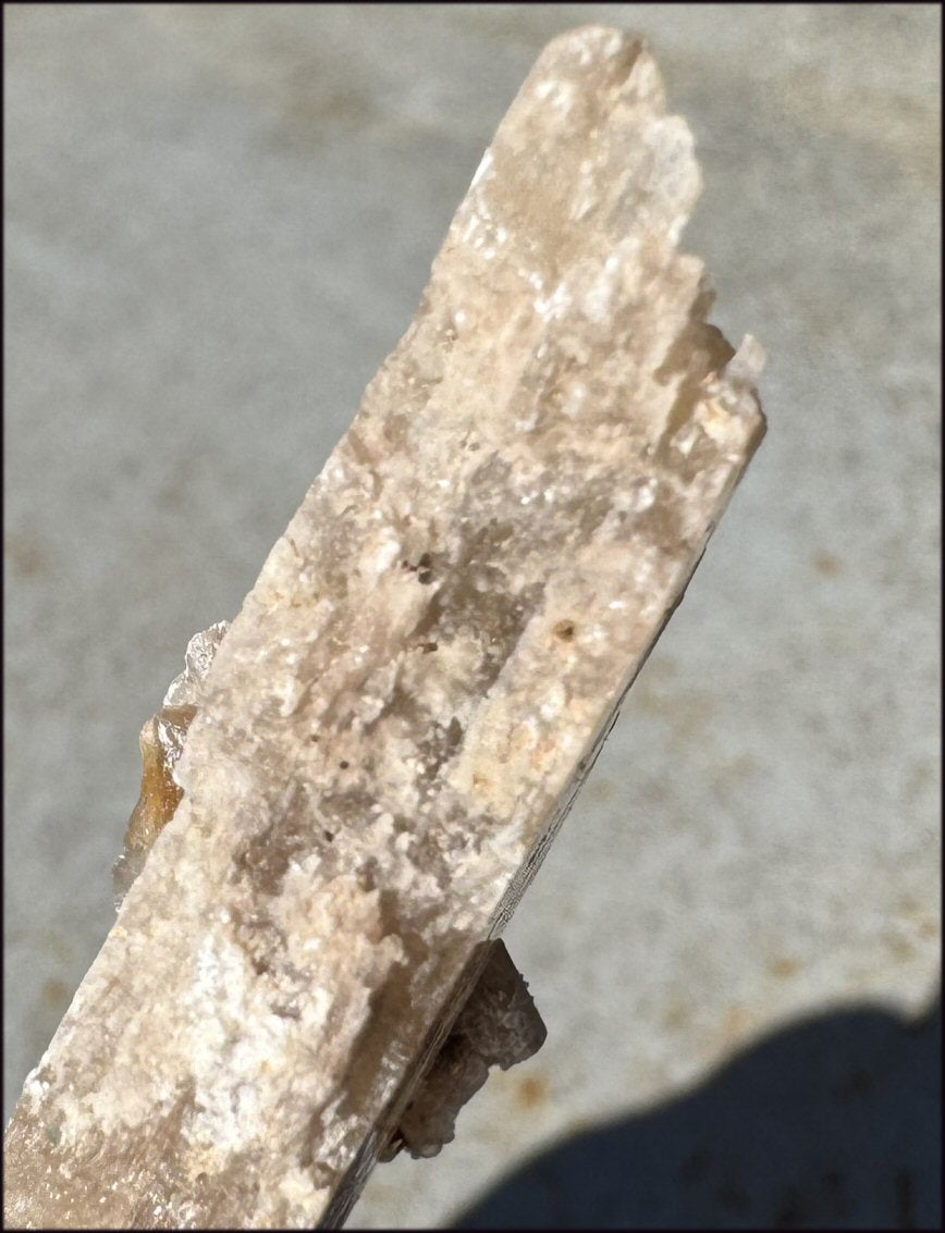 ~Unusual!~ 7.75" St. David Selenite Crystal Specimen from St. David, AZ