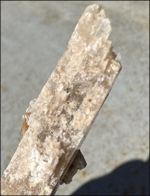 ~Unusual!~ 7.75" St. David Selenite Crystal Specimen from St. David, AZ