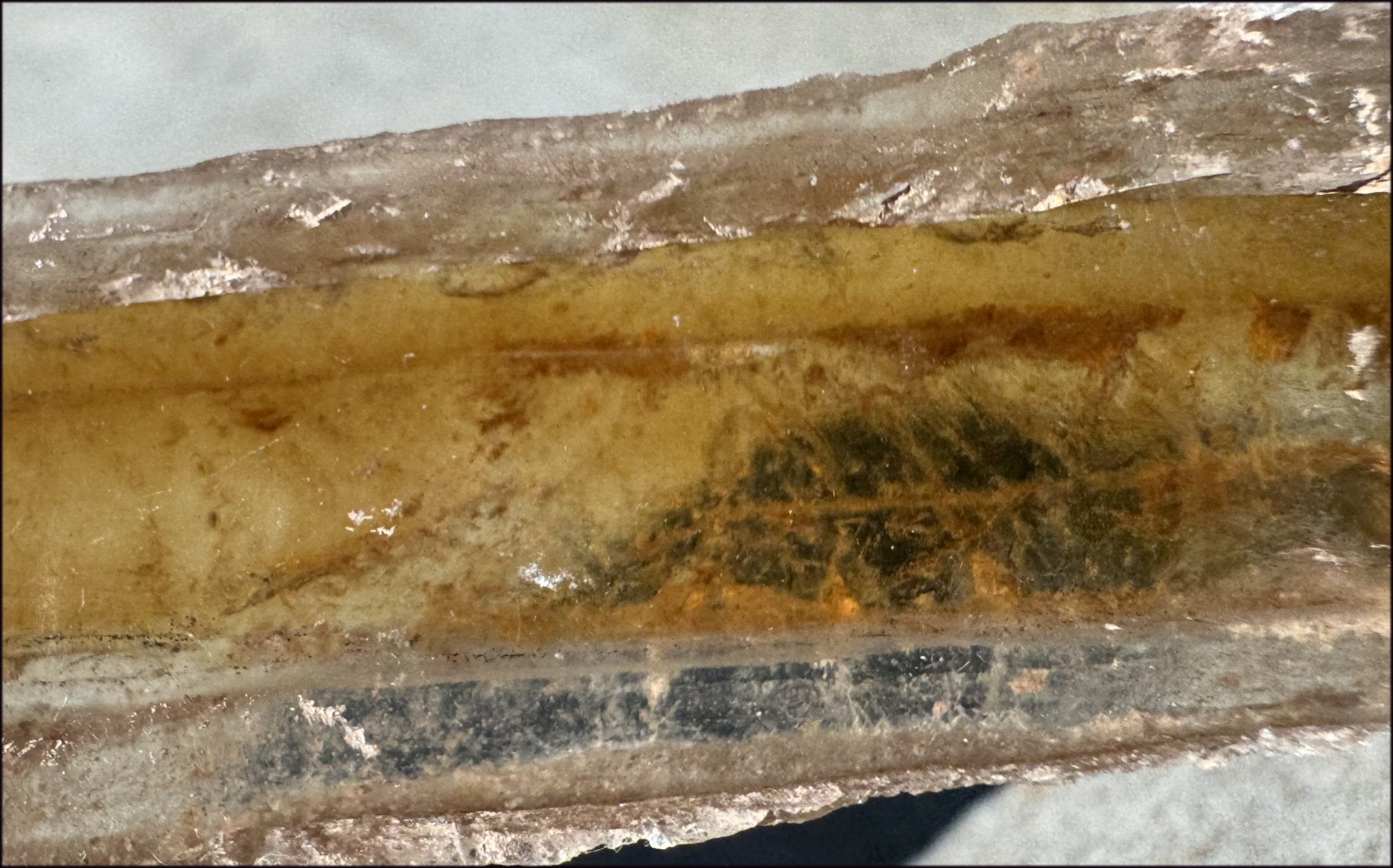 ~Unusual!~ 7.75" St. David Selenite Crystal Specimen from St. David, AZ
