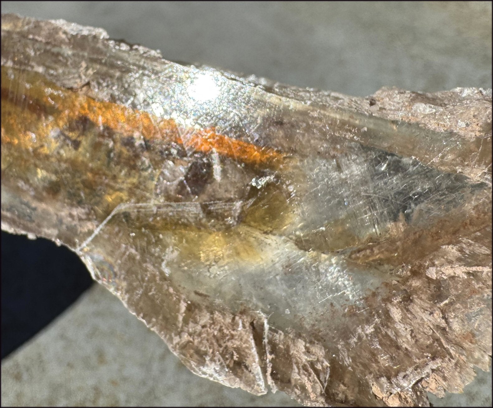 ~Unusual!~ 7.75" St. David Selenite Crystal Specimen from St. David, AZ