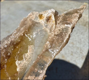 ~Unusual!~ 7.75" St. David Selenite Crystal Specimen from St. David, AZ