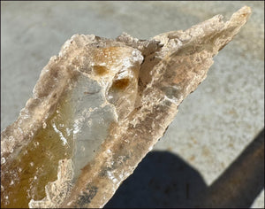 ~Unusual!~ 7.75" St. David Selenite Crystal Specimen from St. David, AZ