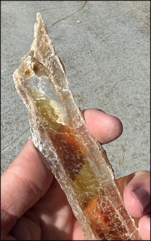 ~Unusual!~ 7.75" St. David Selenite Crystal Specimen from St. David, AZ