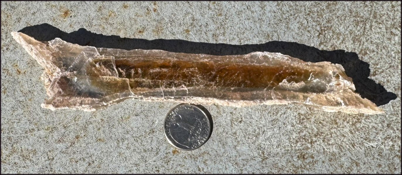 ~Unusual!~ 7.75" St. David Selenite Crystal Specimen from St. David, AZ