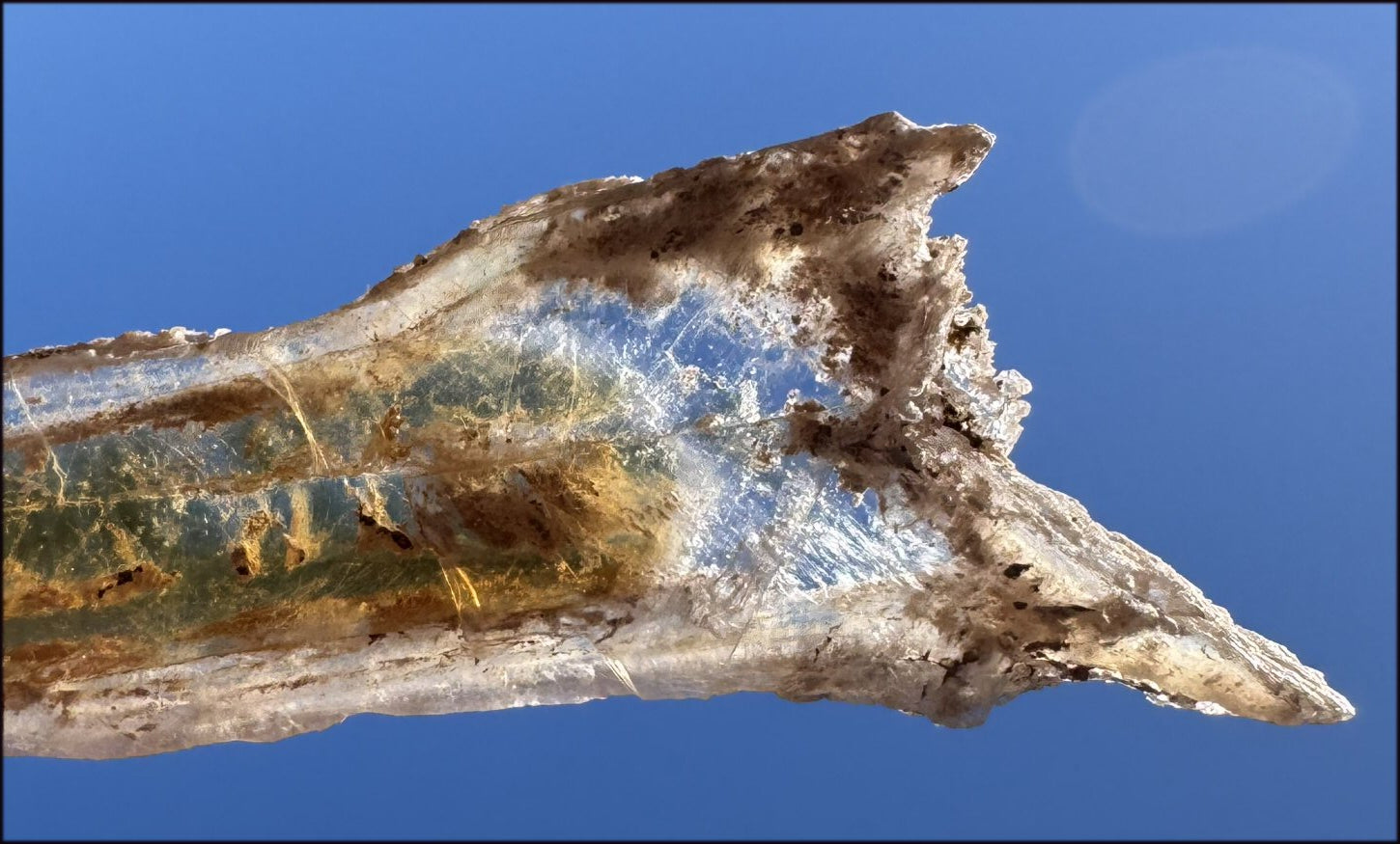 ~Unusual!~ 7.75" St. David Selenite Crystal Specimen from St. David, AZ