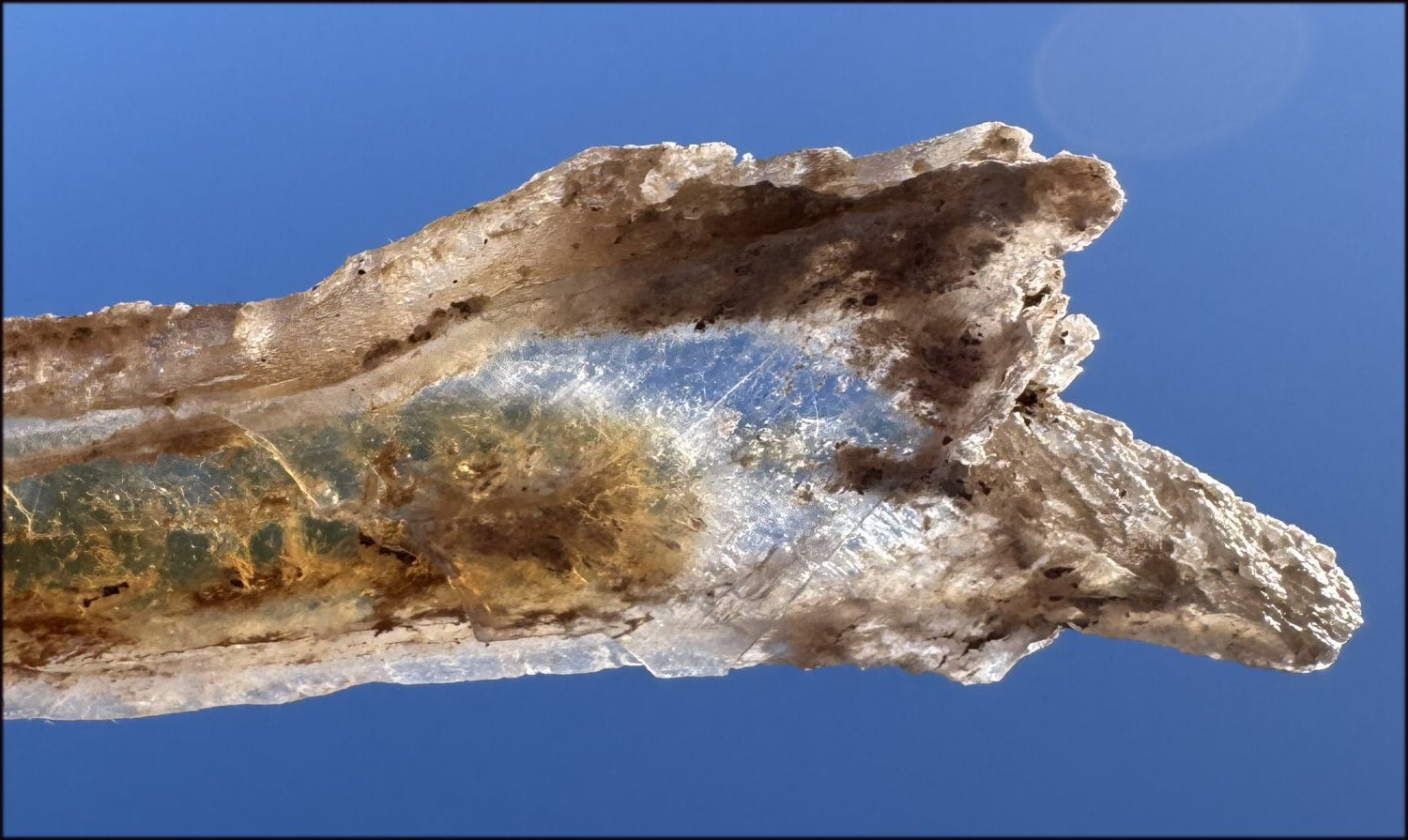 ~Unusual!~ 7.75" St. David Selenite Crystal Specimen from St. David, AZ