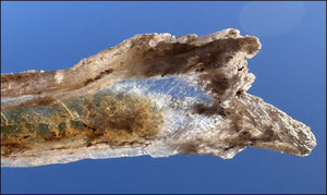 ~Unusual!~ 7.75" St. David Selenite Crystal Specimen from St. David, AZ